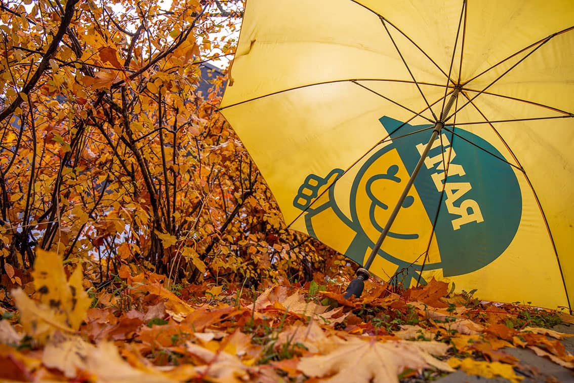 Keltaisen avatun sateenvarjon alla on maassa keltaisia vaahteranlehtiä.