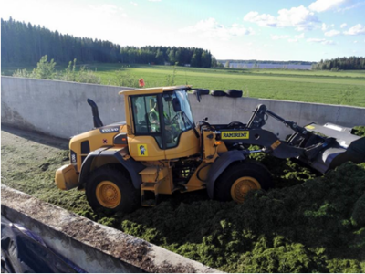 Pyöräkuormaaja tekee aumaa